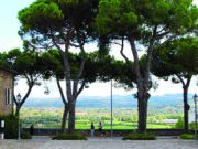 Il Covignano inaspettato