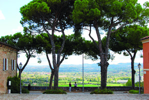 Il Covignano inaspettato