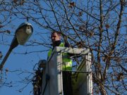 Potare, che passione! Attenti però alle cesoie: multe in agguato