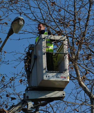 Potare, che passione! Attenti però alle cesoie: multe in agguato