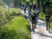 La scuola del gratuito non è un sogno