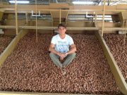 Una noce al giorno…