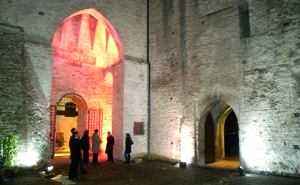 Un Castello al centro della cultura?