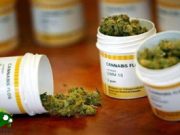 Cannabis: uso terapeutico fra mito e realtà