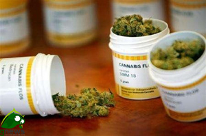 Cannabis: uso terapeutico fra mito e realtà