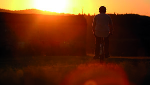 Da Norvegia e Brasile ecco le prime adozioni