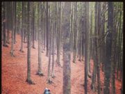 In cammino sulle orme di Tommaso, l’Apostolo