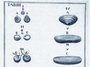 La Rimini del ’700, un “ribollire” di idee