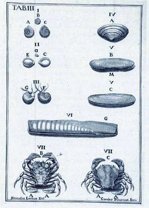 La Rimini del ’700, un “ribollire” di idee