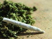 Allarme: lo spinello è tornato di moda