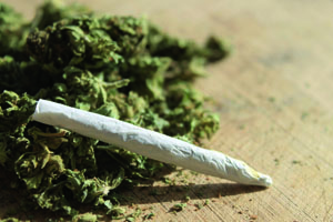 Allarme: lo spinello è tornato di moda