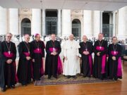 La Romagna ha incontrato papa Francesco