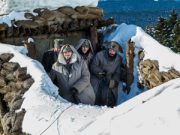 Torneranno i prati e saranno verdi