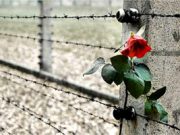Per non dimenticare. I passi della Shoah
