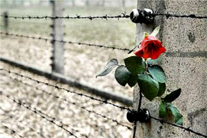 Per non dimenticare. I passi della Shoah
