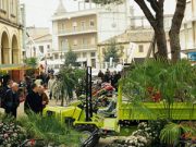 San Gregorio porta la Primavera