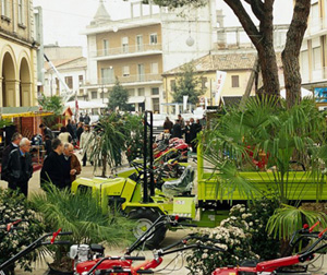 San Gregorio porta la Primavera