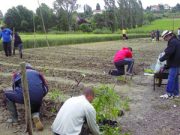 Giovani e anziani: un orto è per tutti