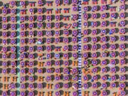 Rimini, lo “scatto” è di quelli mondiali