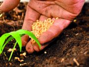 Nella speranza, la dignità del pane