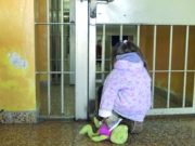 “Garante” per undici casi