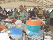 Il Campo dei miracoli