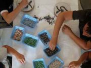 Il mondo antico è un festival