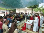 Piccoli semi di unione