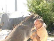 L’equino che non ti aspetti