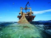 La crisi che ha cambiato la pesca