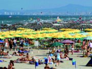 “Basta retorica, l’asta è un bene!”