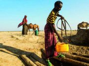 Quando il profitto fa rima con solidale