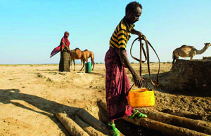 Quando il profitto fa rima con solidale