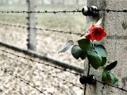 Giornata della Memoria 2016, per non dimenticare la Shoa