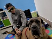 Caro “pet”, quanto mi costi?