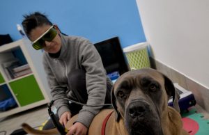 Caro “pet”, quanto mi costi?