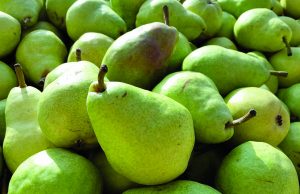 Prezzi: Coop accusata di “strozzare” i piccoli produttori