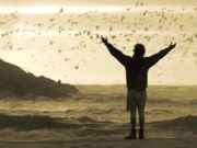 Rassegna “Il sale della terra” – Uomo, ambiente e cinema