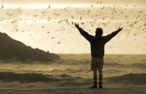 Rassegna “Il sale della terra” – Uomo, ambiente e cinema