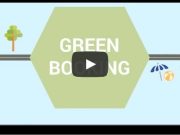 +1000 alberi in riviera. Il turismo diventa sostenibile