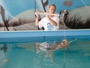 Strage di tartarughe, ma l’Adriatico è sano?