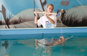 Strage di tartarughe, ma l’Adriatico è sano?