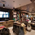 teddy-group-calliope