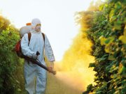 Pesticidi: il male minore?