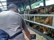 E arriva “New Farmers”, progetto Europeo con Tv2000