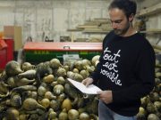 L’uomo delle zucche