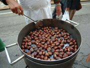 La mosca non ci ha preso in… castagna