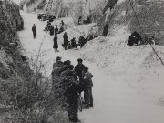 La Linea Gialla Covignano, chi ricorda?