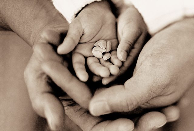 T254ChildhoodAdult's Hands Cupping Child's Hands Cupping Seeds