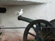 Nonviolenza, una forza creativa per costruire la pace